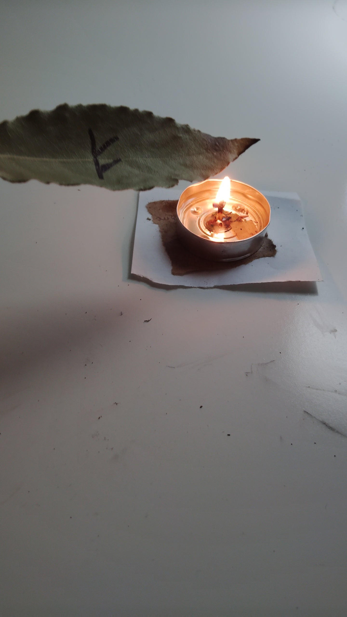 Yearly Bay Leaf Ritual