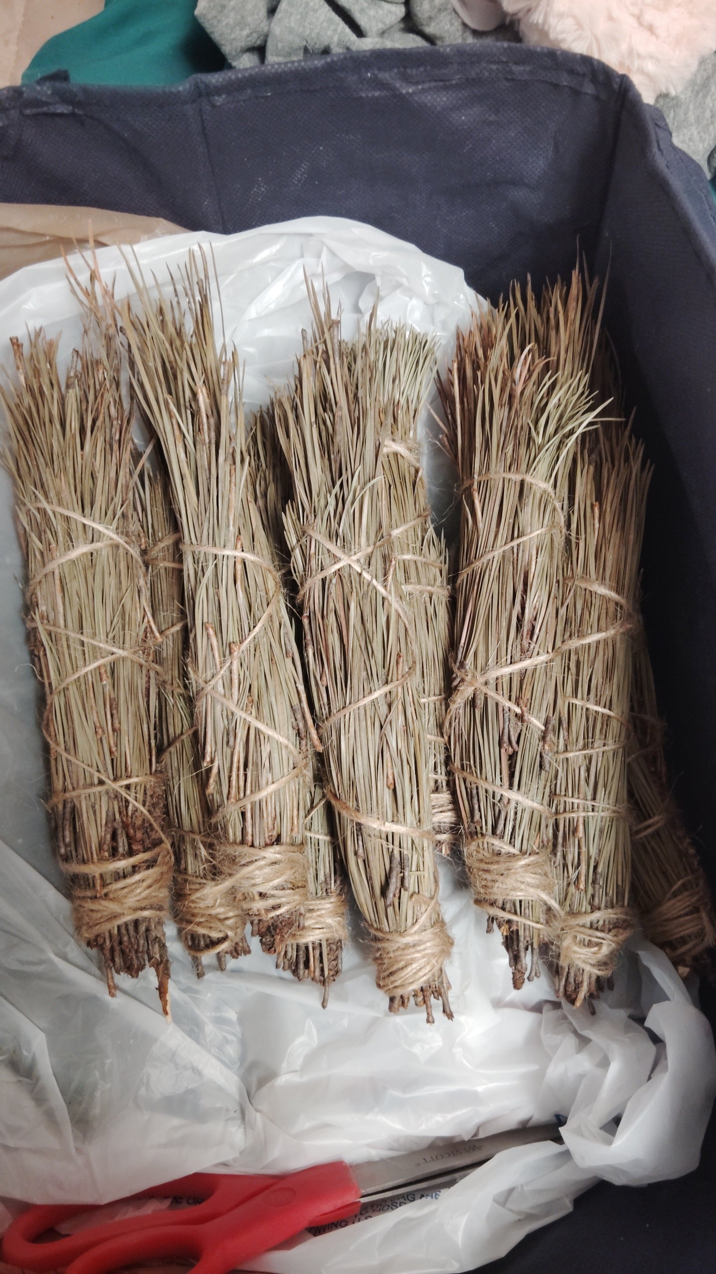 Pine Needle Bundles
