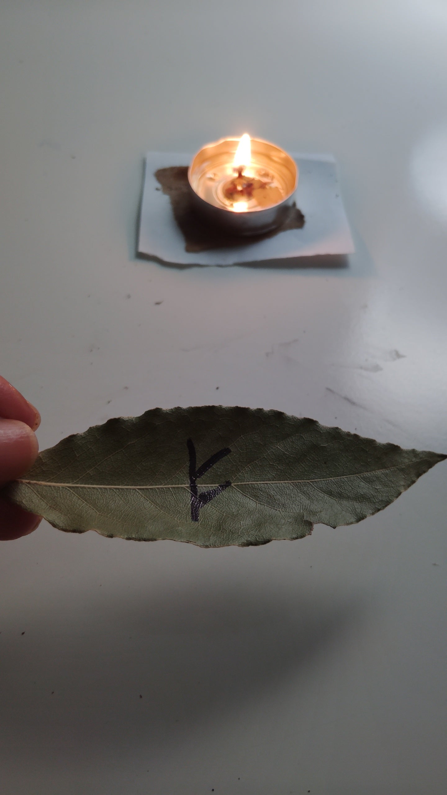 Yearly Bay Leaf Ritual