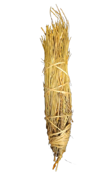 Pine Needle Bundles