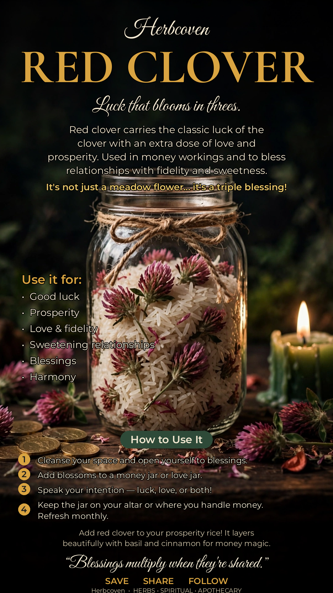 Red Clover Leaf Herb